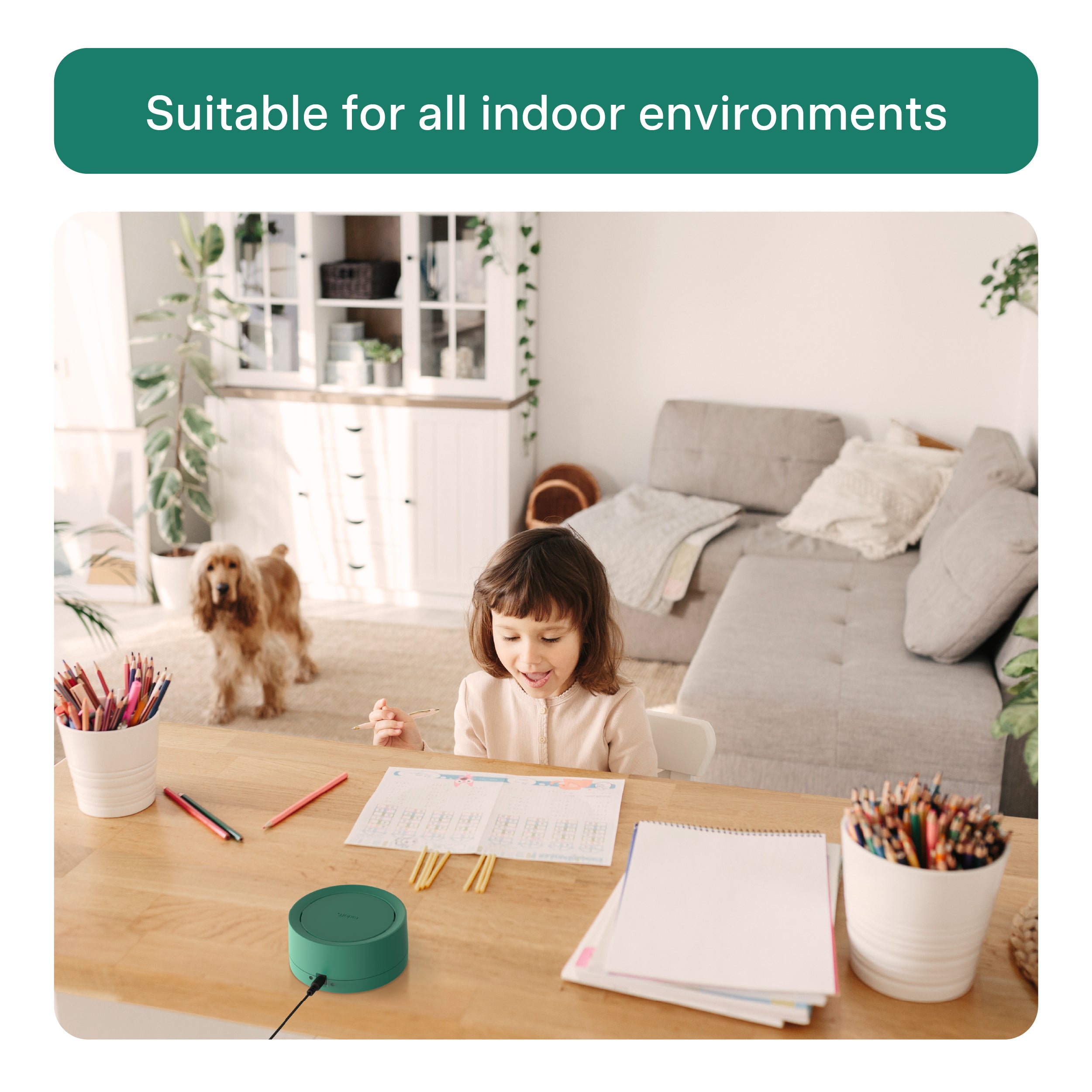 Radoff Now green device: suitable for all indoor environments.